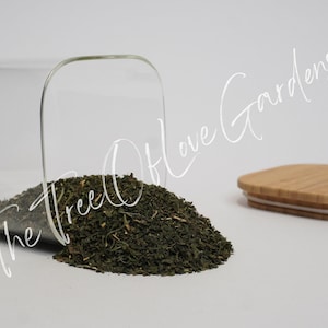 Stinging Nettle Leaf | Tea | Utrica Dioica | Dried Herbs | Herbal Infusion by The Tree Of Love Gardens Cuts