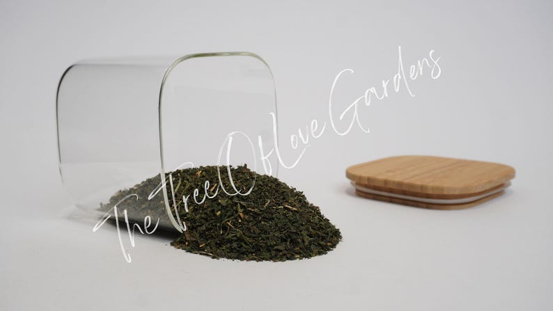 Stinging Nettle Leaf | Tea | Utrica Dioica | Dried Herbs | Herbal Infusion by The Tree Of Love Gardens Cuts