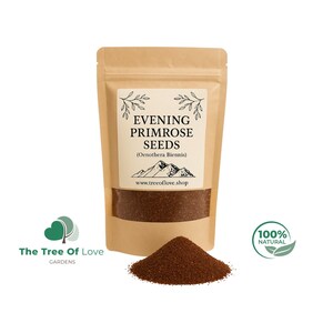 Peut inclure: Un sachet en papier brun contenant des graines d'onagre bisannuelle brun foncé. L'étiquette indique Evening Primrose Seeds (Oenothera Biennis) avec un graphique de montagne et le site www.treeoflove.shop. Un petit tas de graines est devant.