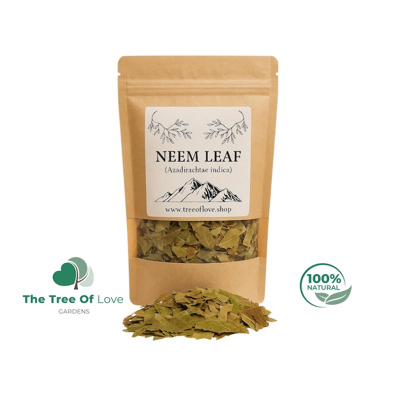 Neem Leaf | Cuts or Powder | Azadirachtae Idica | Dried Herbs | Tea | Herbal Infusion by The Tree Of Love Gardens image 1