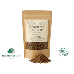 Angelica Sinensis | Dang Gui | Chinese Angelica | Dried Herbs | Herbal Tea | Herbal Products | Bulk Herb | Herbal Infusion