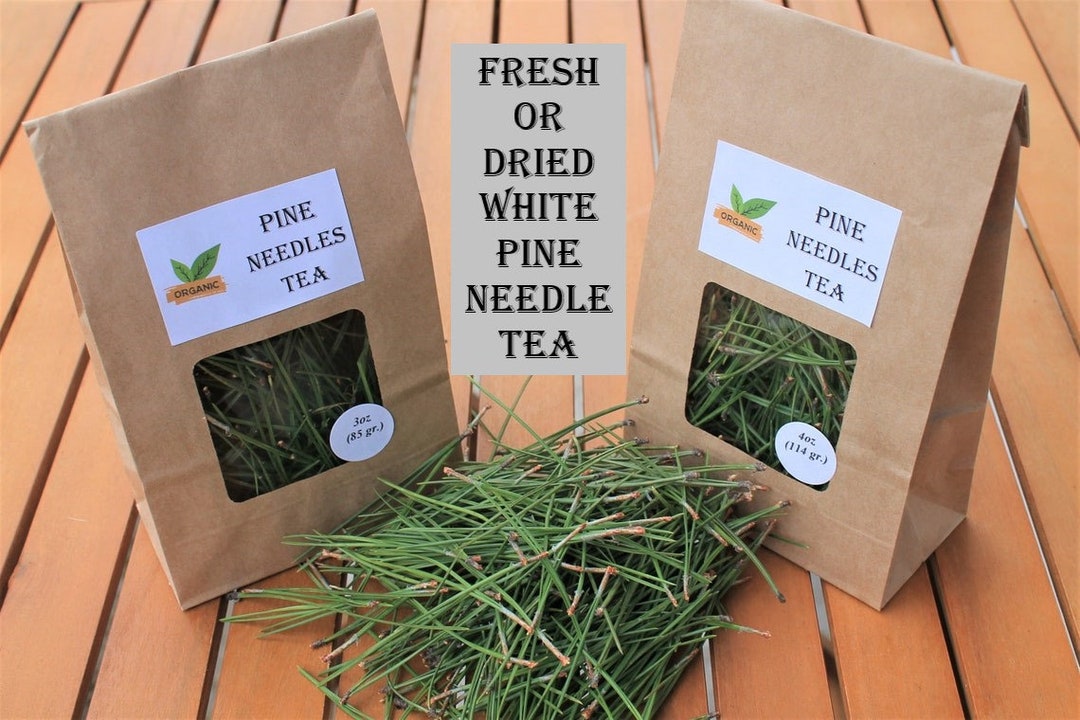 Organic Pine Needle Tea Pine Needles for Tea Fresh Pine Needles Tea