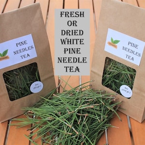 Organic Pine Needle Tea | Pine Needles For Tea |  Fresh Pine Needles Tea | White Pine Needle Tea  | Pine Needles | Organic Pine Tea