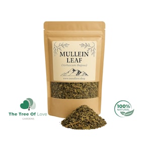 Mullein Leaf Tea | Mullein Leaf | c/s (Verbascum thapsus) | Dried Wildcrafted Mullein Leaf | Mullein leaf Herb | Herbal Remedy