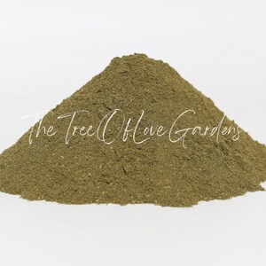 Green Tea Powder | Green Tea Leaf Powder | Dried Herbs | Herbal Tea | Herbal Products | Bulk Herb | Herbal Infusion image 5