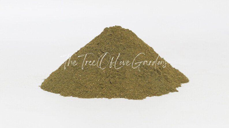 Green Tea Powder | Green Tea Leaf Powder | Dried Herbs | Herbal Tea | Herbal Products | Bulk Herb | Herbal Infusion image 5
