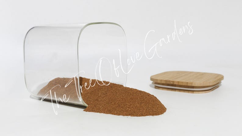 Ceylon-kaneelpoeder | Cinnamomum zeylanicum | Gedroogde kruiden | Kruidenthee | | Kruideninfusie van The Tree Of Love Gardens afbeelding 7