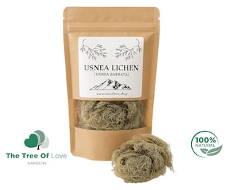 Usnea liquen / Usnea barbata / Barba de viejo entera / Silvestre / Infusión / Té de hierbas de The Tree Of Love Gardens