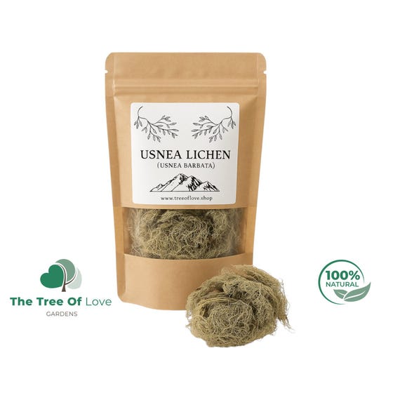 Usnea Lichen | Usnea barbata | Whole | Wild Crafted Old Man's Beard |  Infusion | Herbal Tea by The Tree Of Love Gardens