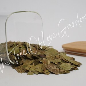 Neem Leaf | Cuts or Powder | Azadirachtae Idica | Dried Herbs | Tea | Herbal Infusion by The Tree Of Love Gardens image 2