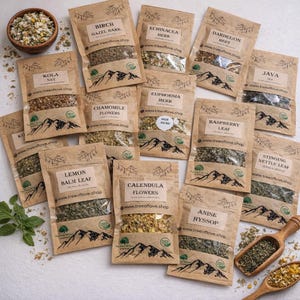 Könnte beinhalten: Draufsicht auf verschiedene Kräuterteemischungen in kleinen braunen Papiertüten. Die Tüten sind mit Namen wie "Birch Hazel Bark" und "Anise Hyssop" beschriftet. Eine Holzschale und Löffel mit Kräutern sind ebenfalls zu sehen.