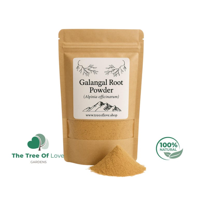 Galangal Root | Alpinia officinarum | | Dried Herbs | Herbal Tea | Herbal Products | Bulk Herb | Herbal Infusion image 2