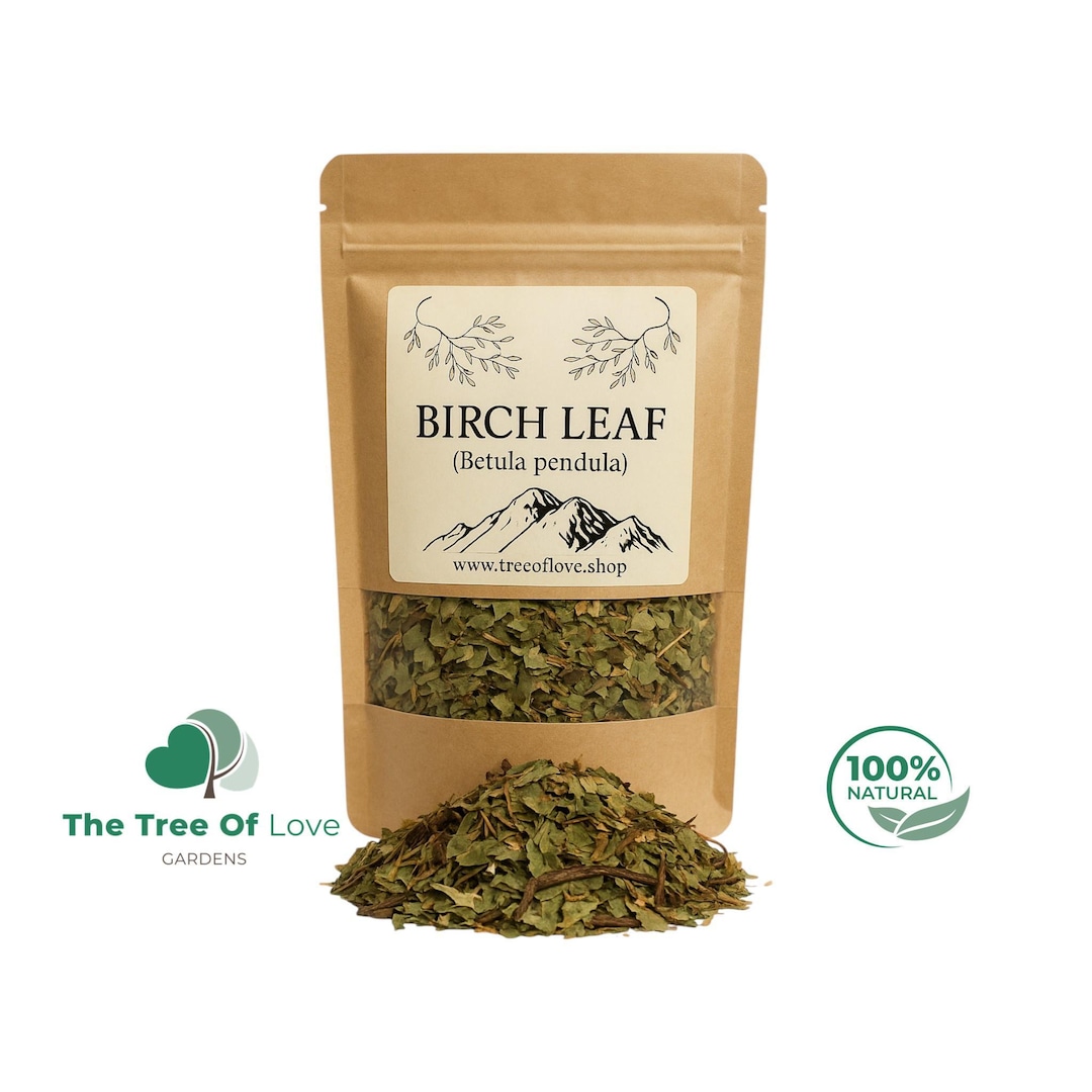 Birch Leaf | Birch Leaf | Common Birch Leaf Tea | Birch Leaves | Herbal ...