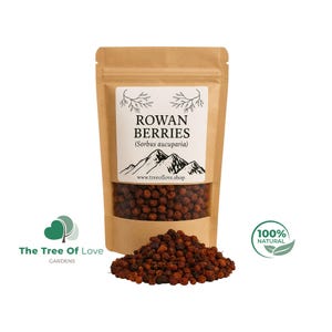 Rowan berries | Rowan Berries Whole Dried Berries  - Sorbus Aucuparia/ Naturally Dried | Rowan | Red rowan | Sorbus | Herbal Remedy