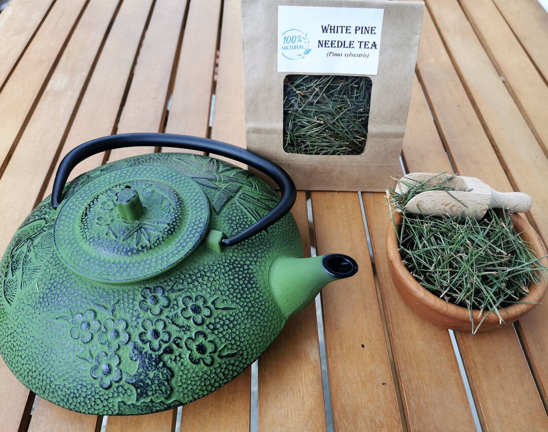 Organic Fresh Pine Needle Tea White Pine Needles Tea Pine Tea Organic