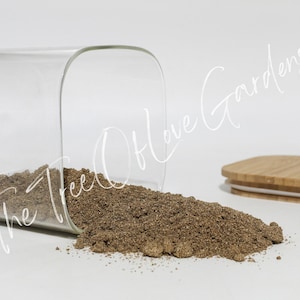 Dandelion Root | Tea | Taraxacum officinale | Natural Herbs | Herbal Infusion by The Tree Of Love Gardens Powder