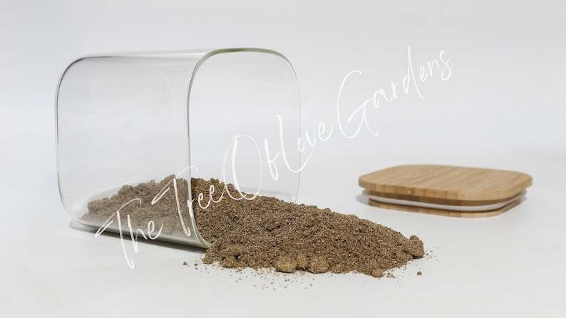 Dandelion Root | Tea | Taraxacum officinale | Natural Herbs | Herbal Infusion by The Tree Of Love Gardens Powder