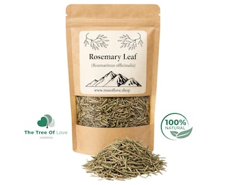 Rosemary Leaf  | Rosmarinus officinalis | Infusion | Herbs | Herbal Tea by The Tree Of Love Gardens
