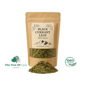 Black Currant Tea | Black Currant Leaf | Ribes nigrum | Dried Herbs | Herbal Tea | Herbal Products | Bulk Herb | Herbal Remedy