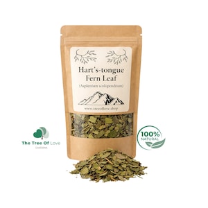 Peut inclure: Un sachet en papier brun contenant des feuilles de scolopendre séchées (Asplenium scolopendrium). L'étiquette présente un graphique de montagne et le texte www.treeoflove.shop. Un tas de feuilles vertes séchées est posé devant le sachet.