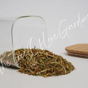 St. John's Wort | Tea | Herb | Hypericum perforatum | Dried Herbs | Herbal Infusion by The Tree Of Love Gardens image 2