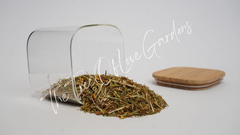 St. John's Wort | Tea | Herb | Hypericum perforatum | Dried Herbs | Herbal Infusion by The Tree Of Love Gardens image 2
