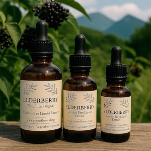 Elderberry Glycerite | Elderberries Alcohol Free Extract | Tincture | Elderberries Liquid Extract | Herbal Remedy