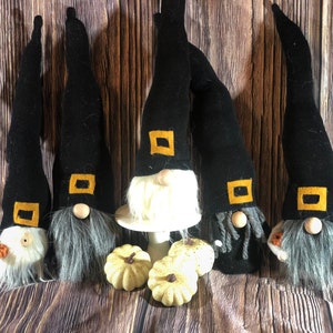 May include: Five black and white gnomes with yellow accents and gray beards. The gnomes are wearing black hats with yellow buckles. The gnomes are standing in front of a wooden background with three white pumpkins in front of them.