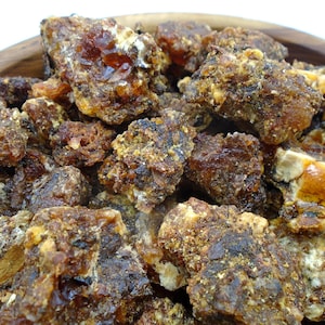 Gum Opoponox Incense Resin: Hadi Sweet Myrrh, Commiphora guidotti