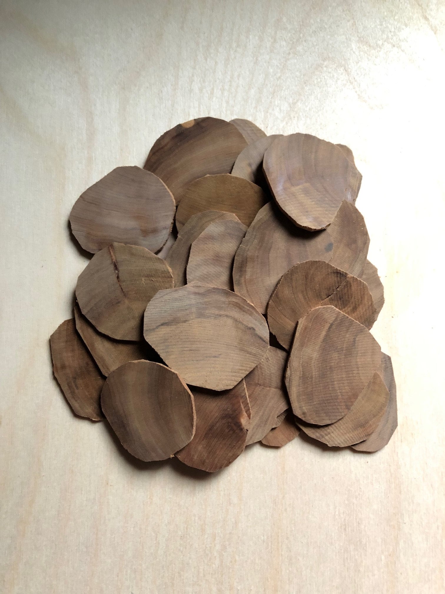 Legno di sandalo spezzato per artigianato 34x15x15mm