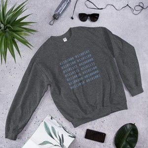 May include: A dark gray sweatshirt with a blue design of binary code on the front. The code reads: 01101000 01100101 01101100 01100100 01101111 00100000 01110111 01101111 01110010 01101100 01100100 00100000 00111010 00101001.