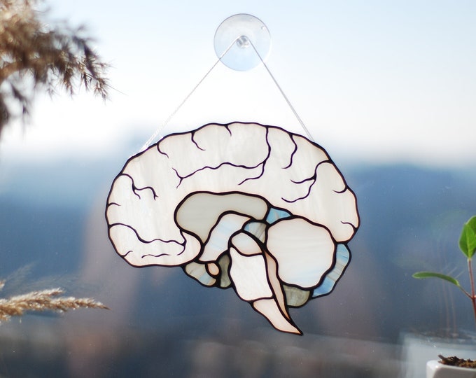 Anatomical Heart Gifts for Her, Anatomical Stained Glass Heart, Valentines Gifts, Girlfriend