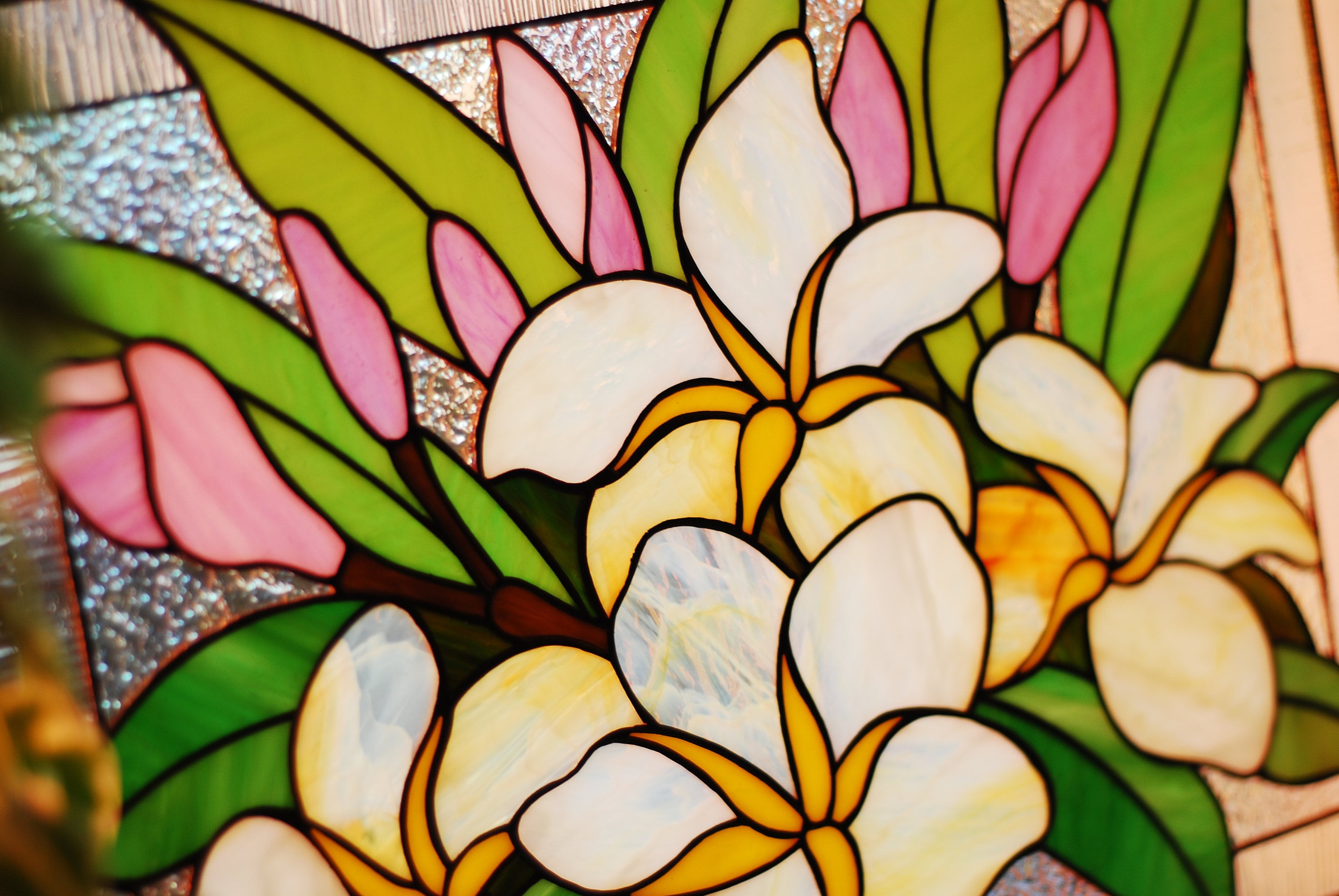 ステンドグラス　プルメリア Stained Glass Window Quartet: ステンドグラスウィンドウ