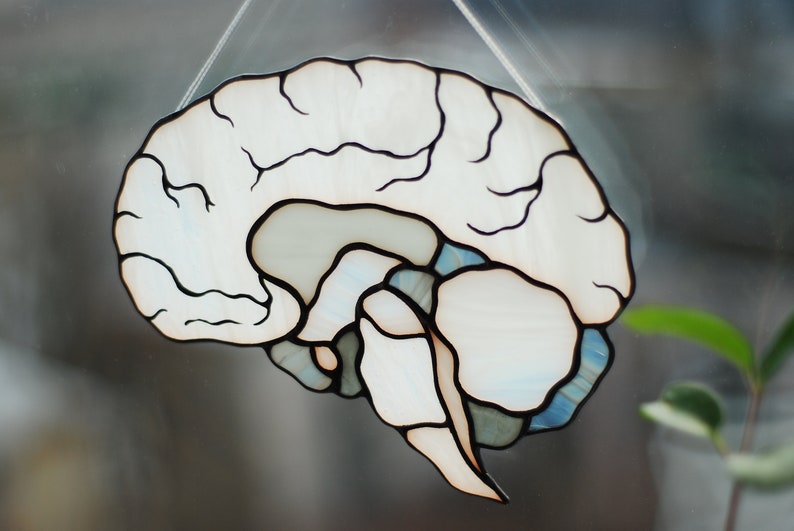 Human Brain Stained Glass Suncatcher, Anatomy Art Decor, Neurology ...