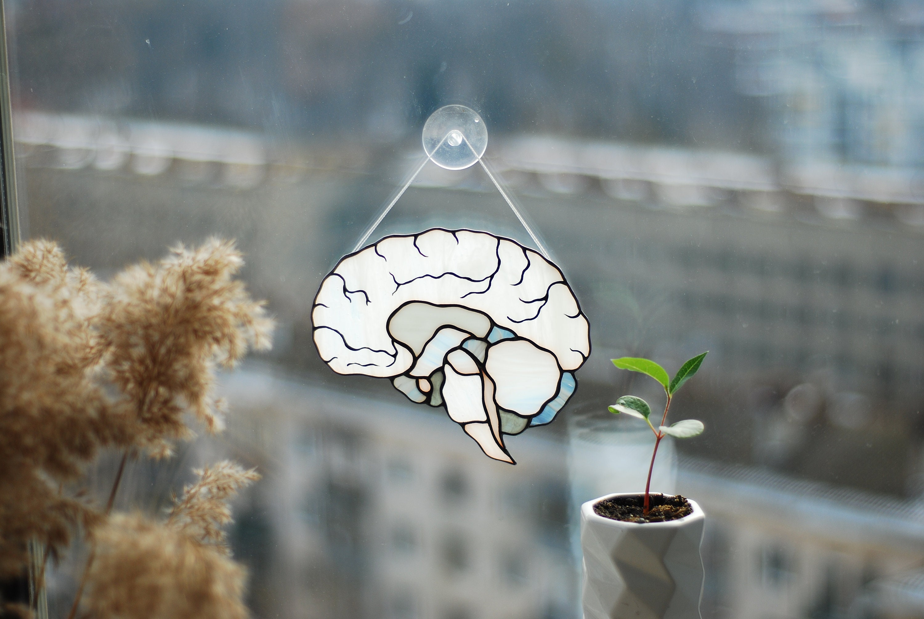 Human Brain Stained Glass Suncatcher, Anatomy Art Decor, Neurology ...