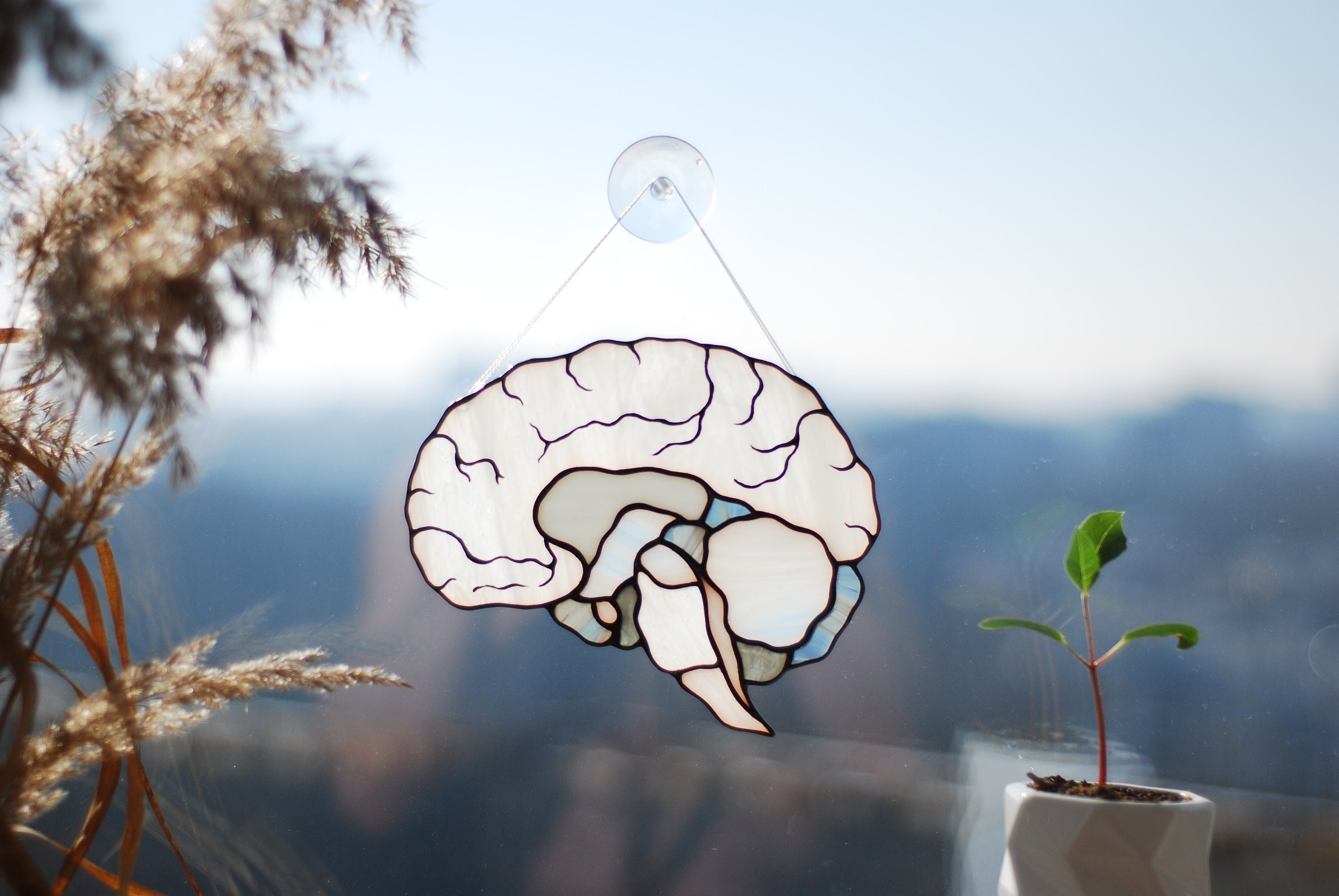 Human Brain Stained Glass Suncatcher, Anatomy Art Decor, Neurology ...