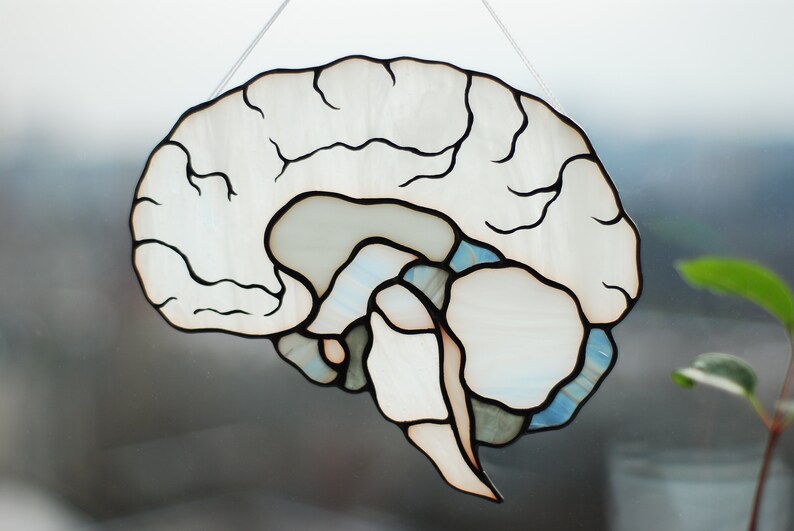 Human Brain Stained Glass Suncatcher, Anatomy Art Decor, Neurology ...