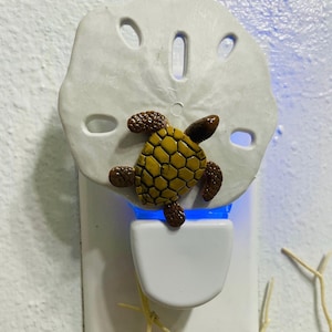 Sea Turtle and Sand dollar night light, shell light,beach decor