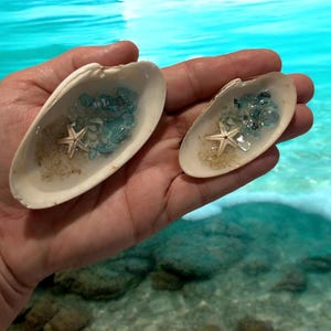 May include: Two white seashells, each holding a miniature beach scene. The shells contain blue glass pieces, sand, and a small starfish. The shells are held in a hand, with a turquoise water background.
