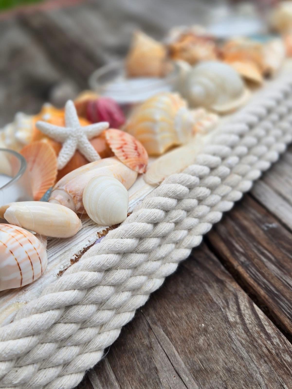ヴェルサーチ　ローゼンタール　海貝シリーズキャンドルスタンド Seashell Candle Holder Centerpiece: Coastal Beach Decor, Beach
