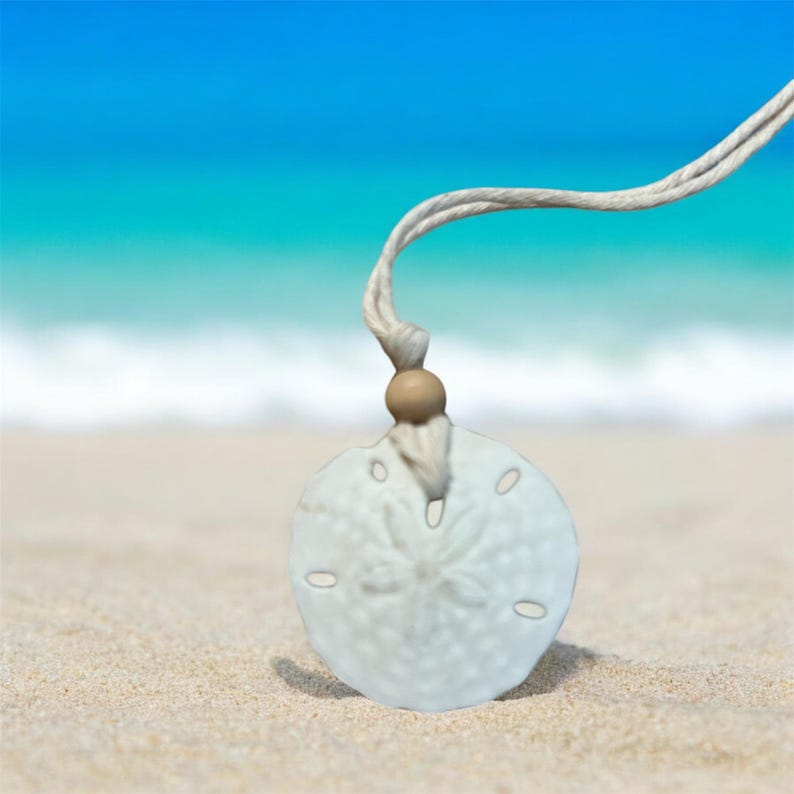 May include: A white sand dollar pendant with a brown wooden bead and a white cord. The pendant is on a white sandy beach with a blue ocean in the background.