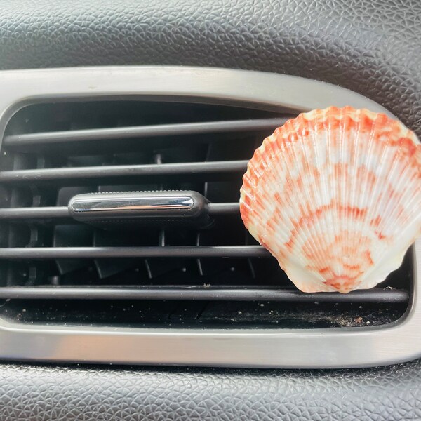 Seashell Car Vent Etsy