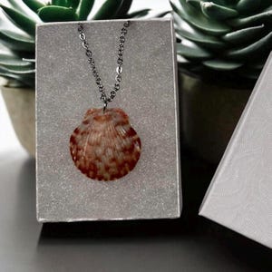 Real Scallop Seashell Necklace:  Beach Jewelry Dainty seashell.