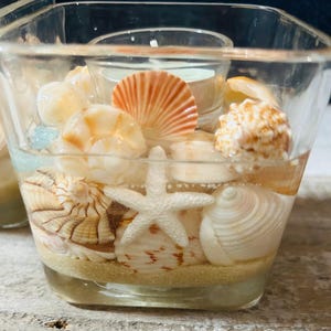 May include: Square glass candle holder filled with sand, seashells, and a small candle. The seashells are various sizes and colors, including white, orange, and tan. A white starfish is also visible.
