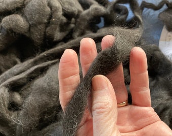 Op de afbeelding: Donkergrijze wolvlies, vastgehouden in een hand, met een gouden ring. De wol is zacht en pluizig, ideaal voor fiber art projecten zoals naaldvilten, nat vilten en spinnen. De roving is een natuurlijke vezel.