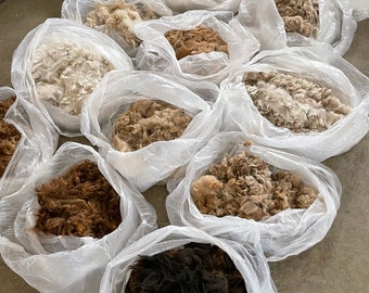 Oodles of raw alpaca fleece by CUSTOM ORDER: Assorted colors, grades, staple lengths