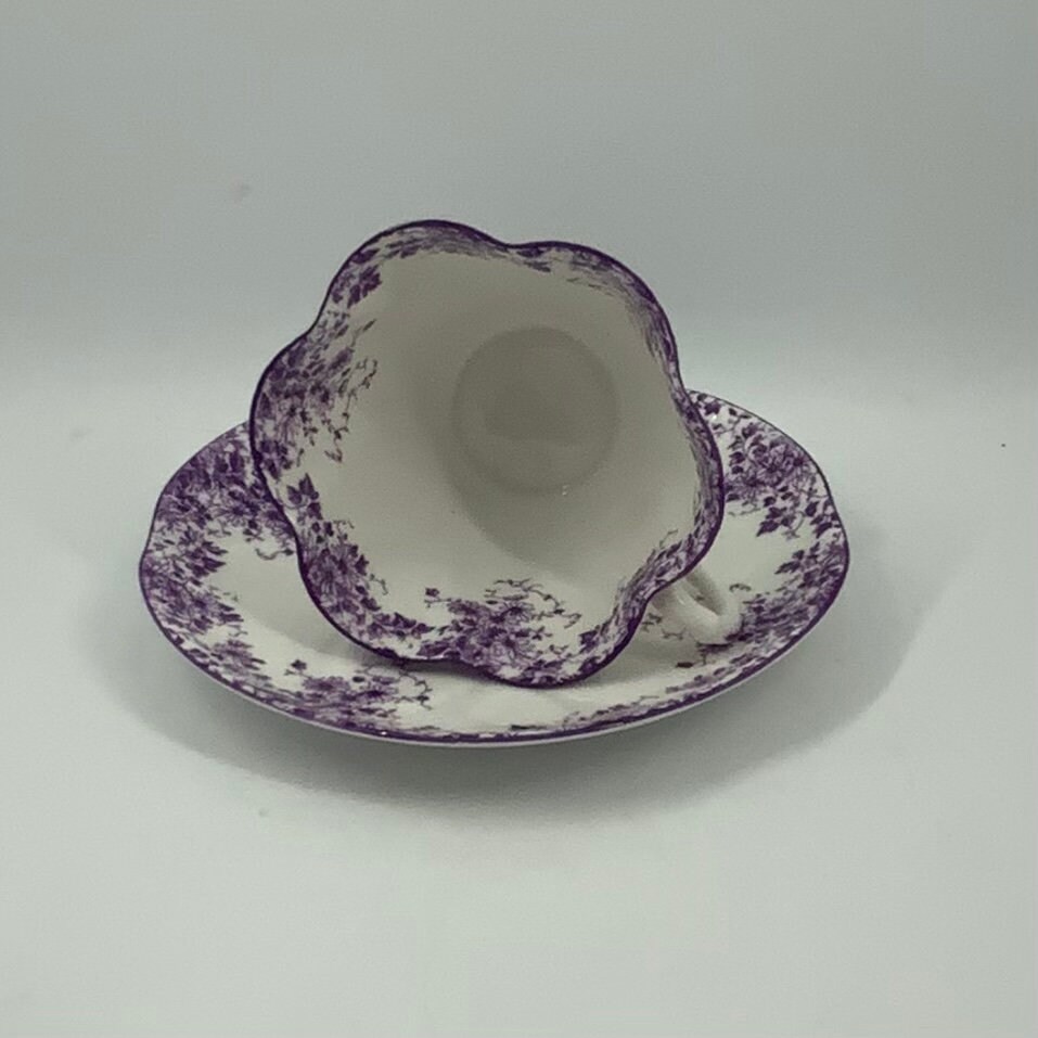 Rare Shelley Teacup Shelley Teacup and Saucer Shelley Dainty Etsy