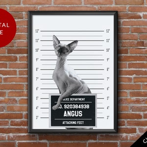 May include: A black and white mugshot style printable featuring a hairless cat with the text "Police Department", "ID: 920384938", "ANGUS", and "Attacking Feet".