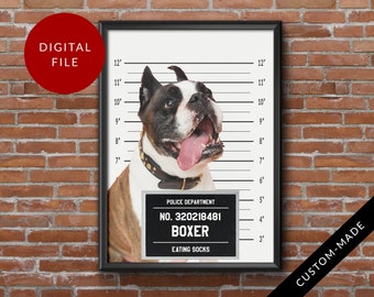 Custom Mugshot Pet Portrait Personalized, Funny Gift, Criminal Pet, Cat Prisoner, Digital File