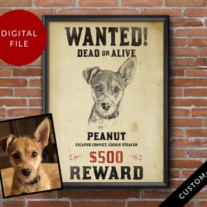 Póster personalizado de Pet Wanted, Regalo divertido para amantes de los animales, Gato criminal, Regalo de Navidad único para dueños de mascotas